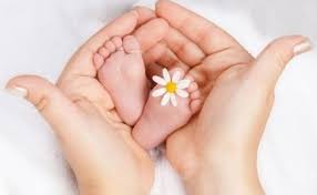 نرخ باروری در خراسان جنوبی کاهش یافته است