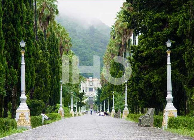 هتل های جنگلی رامسر | تجربه اقامت در دل جنگل هتل آزادی رامسر