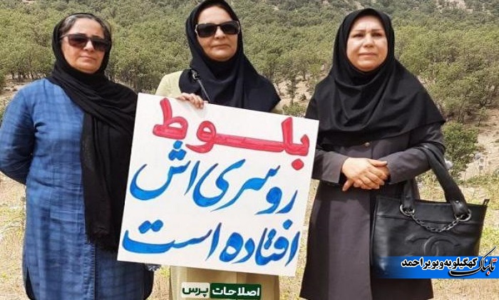 آفت برگ خوار بلوط و آنچه که کمتر می دانیم / توقع بیجا ایجاد نکنیم !