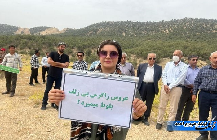 آفت برگ خوار بلوط و آنچه که کمتر می دانیم / توقع بیجا ایجاد نکنیم !