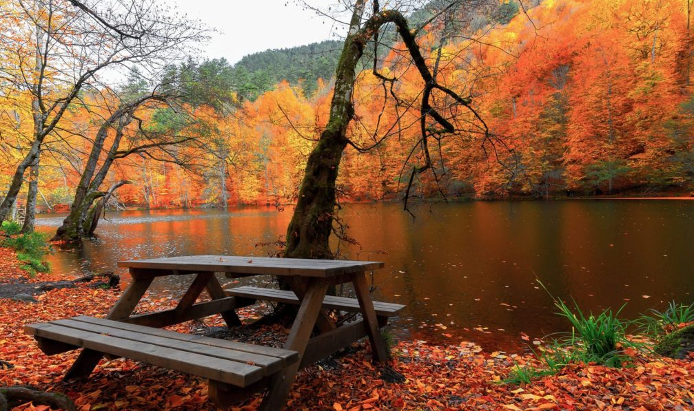 پاییز فصل سفر به کدام کشور خارجی است؟ پاییز فصل سفر به کدام کشور خارجی است؟