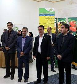 تامین ۹۰ درصدی تولیدات کودهای یارانهای در بخش تولیدات داخلی