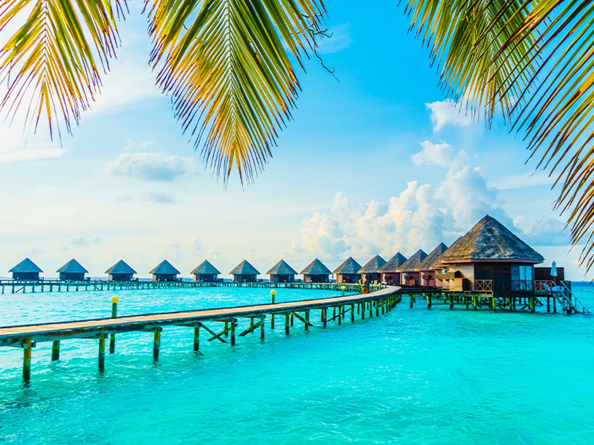 مقایسه هتل های کیش در سال 1401 مقایسه هتل های کیش در سال 1401