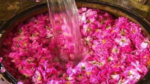 برگزاری جشنواره گلابگیری در نظرآباد