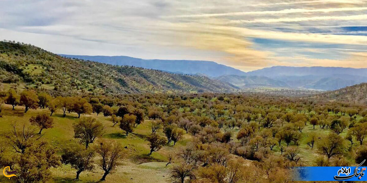 احداث زائرسرا در چغاسبز ،خیانت به محیط زیست / زیست بوم و طبیعت چغاسبز در معرض تخریب قرار دارد