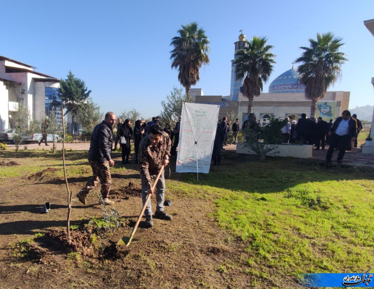 از دادستان شهرستان می&zwnj;خواهم اگر مقدور است، در برخورد با خاطیان، &laquo;نهال&zwnj;کاری&raquo; به عنوان جبران در نظر گرفته شود.
