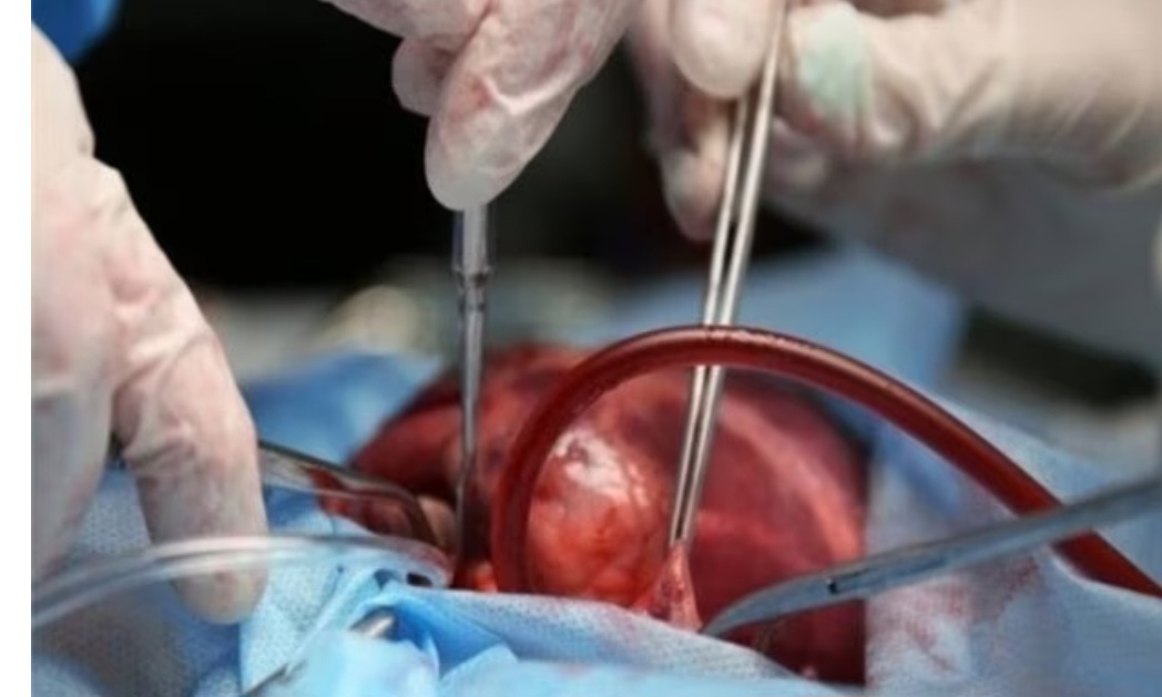 تجليل استاندار از خانواده نوجوان بوشهری/امیدواریم فرهنگ اهدای عضو در جامعه نهادینه شود