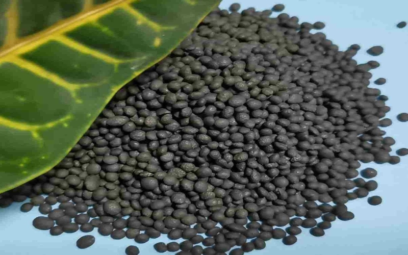 کشاورزان گلستانی در شوک افزایش قیمت و کاهش کود/ امنیت غذایی کشور در معرض تهدید