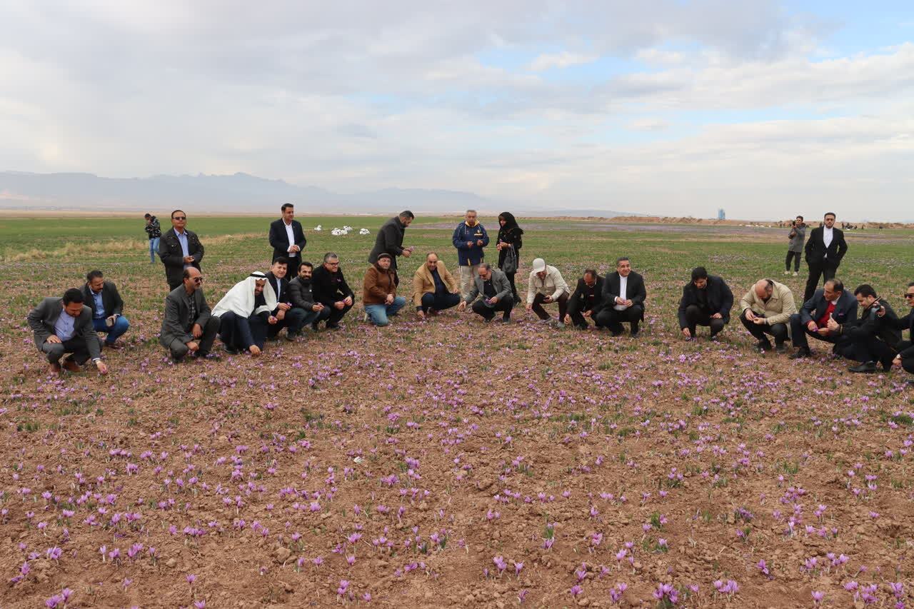 حضور سرکنسولهای کشورهای عربستان، عراق، ترکیه و پاکستان در تور گردشگری مشهد - تربت حیدریه