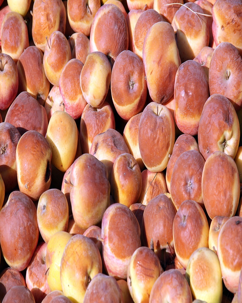 کرم زدگی سیب در آذربایجان غربی تهدیدکننده جایگاه صادراتی است