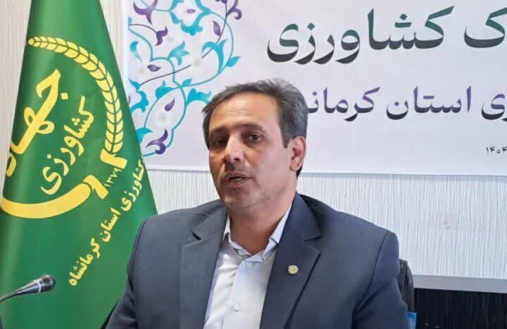 رکوردشکنی تولید مرغ در کرمانشاه در شرایط جنگی /تولید، بیش از نیاز روزانه ۱۲۰ تنی استان رکوردشکنی تولید مرغ در کرمانشاه در شرایط جنگی /تولید، بیش از نیاز روزانه ۱۲۰ تنی استان