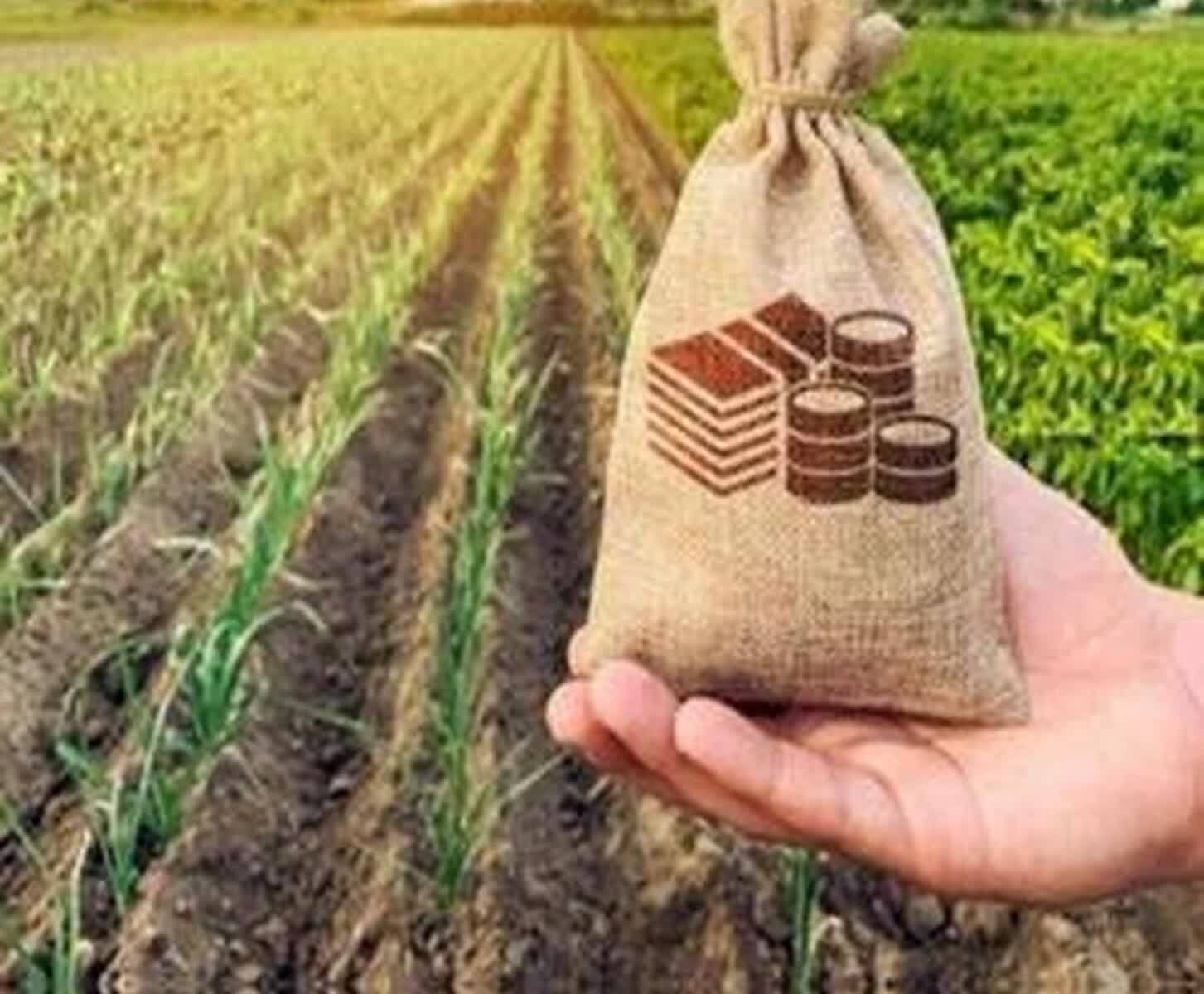 مرهمی بر زخم کشاورزان لرستان؛ پرداخت ۲۶۸ میلیارد تومان غرامت کلید خورد مرهمی بر زخم کشاورزان لرستان؛ پرداخت ۲۶۸ میلیارد تومان غرامت کلید خورد