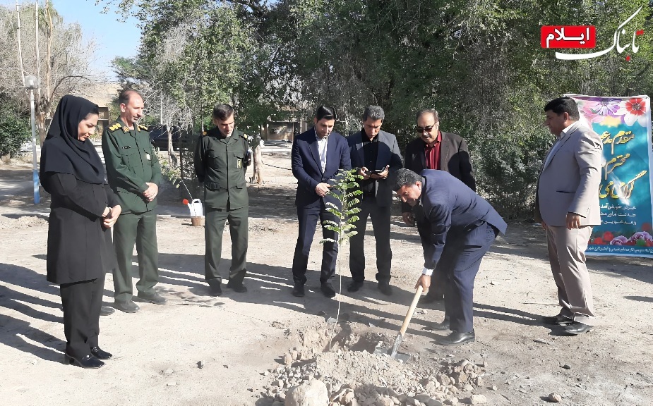 کاشت نهال سلامت در بیمارستان شهدا دهلران کاشت نهال سلامت در بیمارستان شهدا دهلران