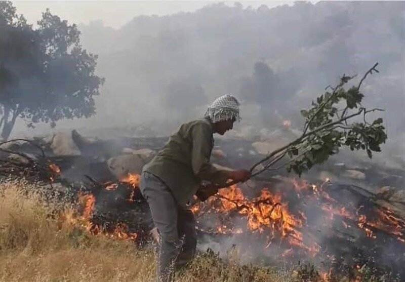 جنگل&zwnj;های زاگرس دوباره سبز می&zwnj;شوند / کاهش ۴۹ درصدی آتش&zwnj;سوزی&zwnj;ها با مشارکت مردم