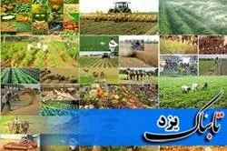 لزوم تقویت تشکل‌های روستایی