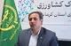 برداشت ۴۵۰۰ تن خرما از باغات استان کرمانشاه