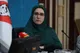 ۲۴ مهر ؛ تاریخ پیشنهادی برگزاری انتخابات شوراها